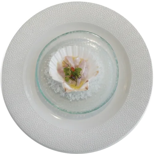 Scallop crudo in its shell on salt